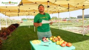 Обзор томатов-гигантов!