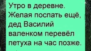 Анекдоты, юмор, статусы, приколы 😁
