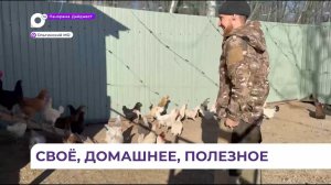 Небольшую ферму открыл на своём участке ветеран СВО из Ольги