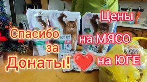 Купили вкусняшки на ДОНАТЫ котикам/Володя НЕ ХОЧЕТ сниматься/АВАРИИ по городу/Обзор покупок на 6000