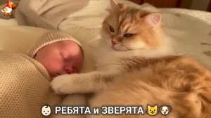 Ребята и зверята от ИИ милое видео для души и радости 👶🏻😺🐶 (7)