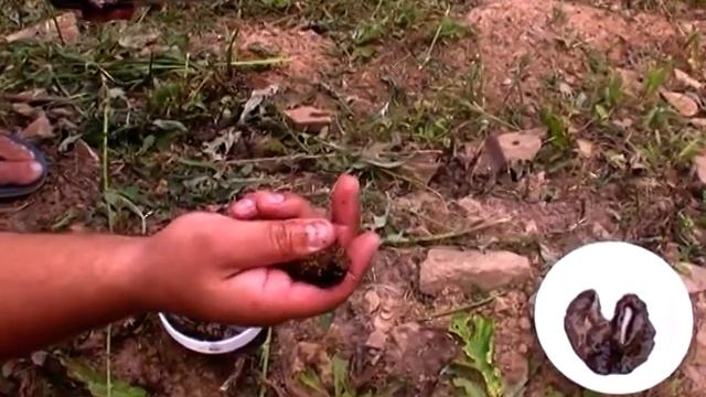 2009.09.10 Владивосток, Находка, ч.30