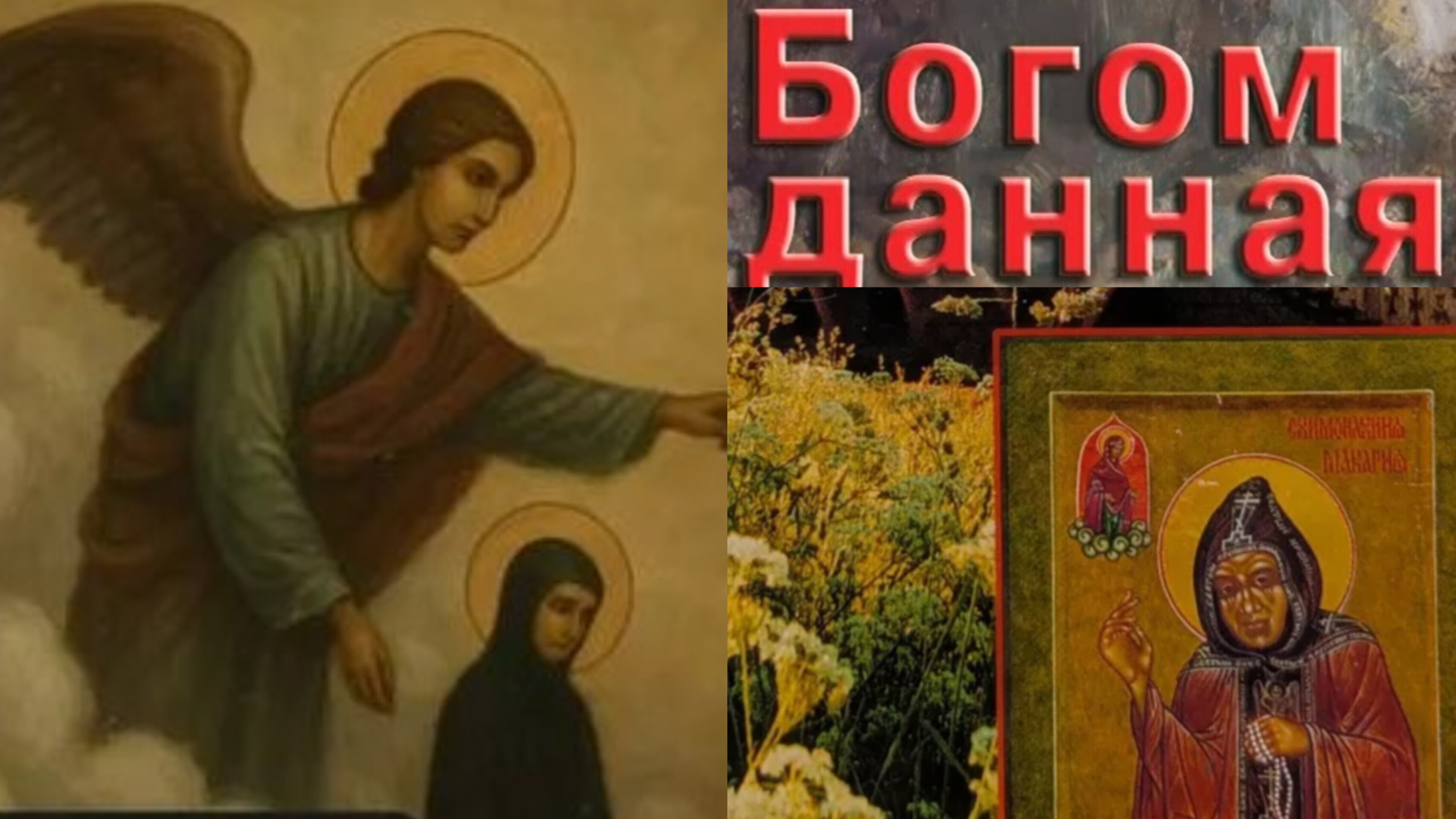 ОНА ЧИТАЛА МОИ МЫСЛИ И ГОВОРИЛА О ТОМ,ЧТО ЗНАЛ ТОЛЬКО ГОСПОДЬ И Я..МАТУШКА МАКАРИЯ ч.14