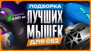 ТОП лучших мышек для CS 2 / CS:GO