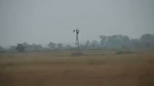 Johnny Guitar @hitoriSG •