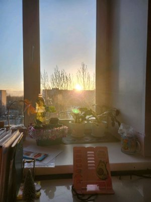 вопрос ответ