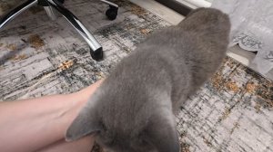 Боюсь перемен. Новая стрижка.