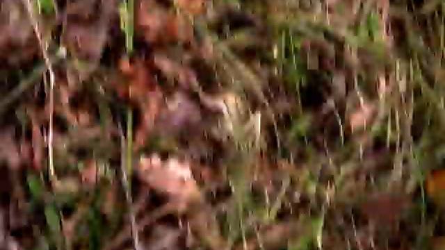 2009.09.10 Владивосток, Находка, ч.37