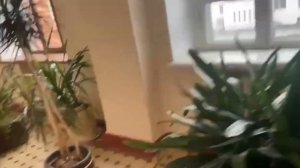 Барматуха заходит в Академию сельского хозяйства.