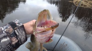 Зимний сплав. Рыбалка на Луге.