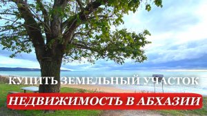АБХАЗИЯ. 2025. ГОРЫ, море. НЕДВИЖИМОСТЬ в Абхазии. ЗЕМЕЛЬНЫЙ участок