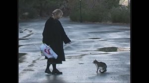 Другой Кипр