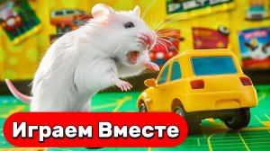 Умный Хомяк выбирается из НОВОГО БОЛЬШОГО лабиринта с ловушками ! Видео для детей №4