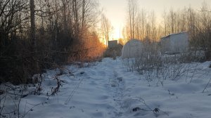 Вот так и живём.