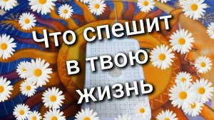 ТАРО РАСКЛАД / Что спешит в твою жизнь / Ответ карт таро