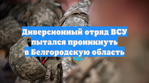 Диверсионный отряд ВСУ пытался проникнуть в Белгородскую область