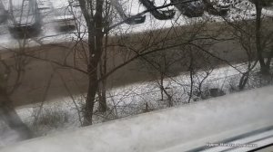 Приманим снег! Лечимся всем! Чижик