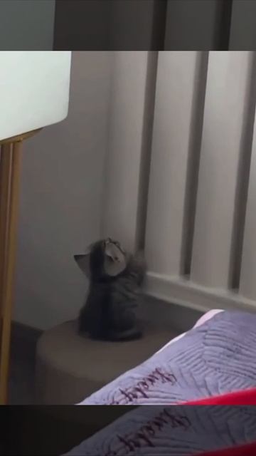 Когда зимой пришел с работы