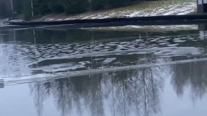 Обстановка на водоёме.