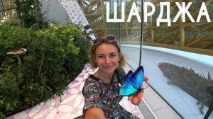 Шарджа. Пляжный отдых. Павильон бабочек на острове Аль Нур