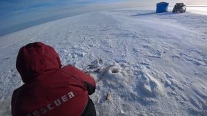 Рыбалка в Набильском заливе на зубаря, малоротку и салатушку