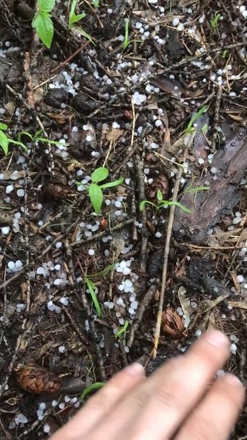 Град с дождём, май, Кемерово смотреть онлайн