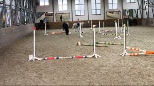 новогодние старты-конкур🌲🐴