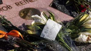 Сыну режиссера Райнера предъявят обвинение за убийство родителей