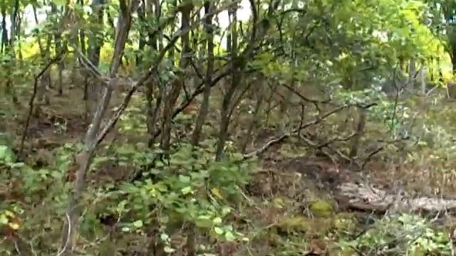 2009.09.10 Владивосток, Находка, ч.45