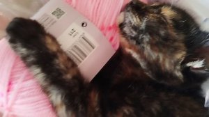 Она вязала, вязала и очень устала