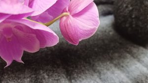 Рукодельные продвижения👋🧶🌸