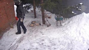 здравствуйте зверята