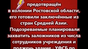 Теракт предотвращён в колонии Ростовской области