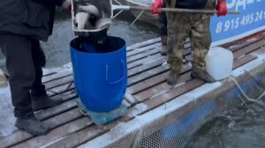 17.12.25 г. РК Волна.