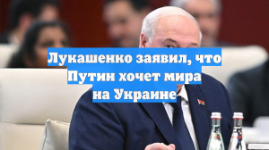 Лукашенко уверен, что Путин хочет мира на Украине
