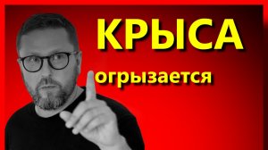 Шарий : крыса огрызается