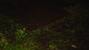 Расслабляющий шум дождя и ветра, 3 часа