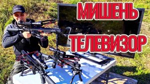 Арбалеты и мишень - телевизор!