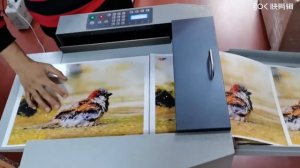 SunFung - нарезчик визиток