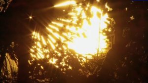 Когда я тебя вспоминаю(ВНУЧКЕ) стихи Сергея Шарова