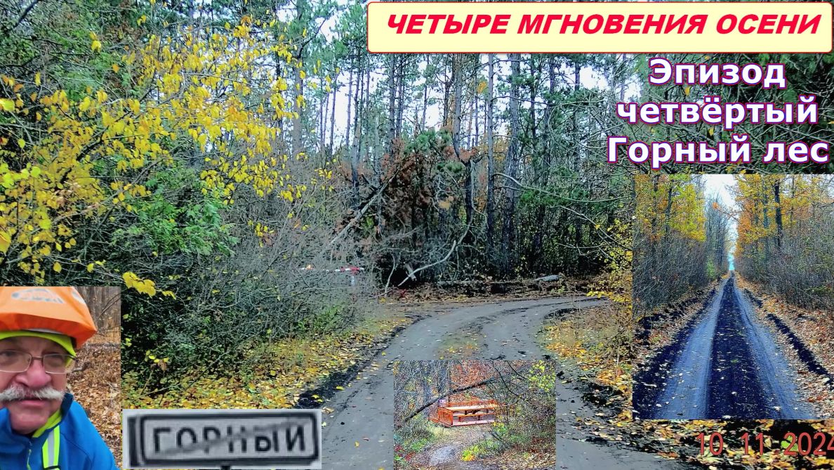 №409. "Четыре мгновения осени", эпизод четвёртый, "Горный лес".