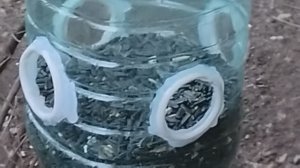 Street food.17 12 2025 г.