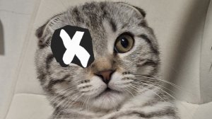 так во вторник