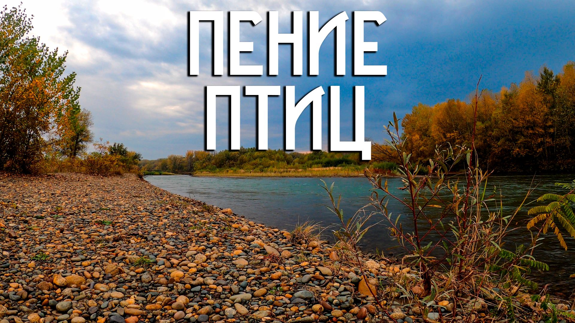 Пение птиц над рекой / Звуки природы / Музыка осенних дней смотреть онлайн