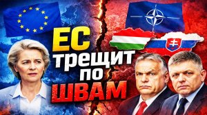 Евросоюз в ужасе! Начался ЖЕСТКИЙ  бунт союзников НАТО из-за Украины!