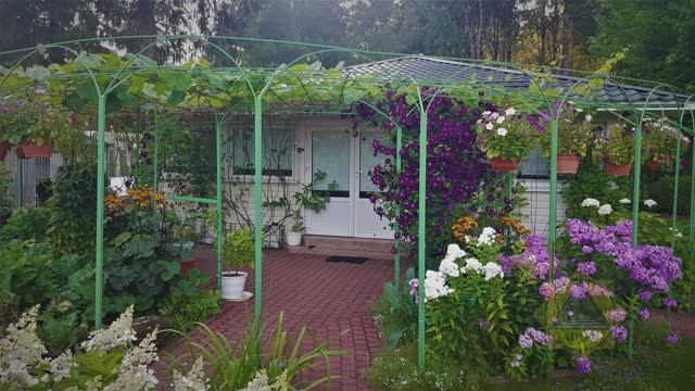 Встречи в Лемболово. Заставка к трансляции 10.10.2020г.