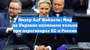 Лидер АдГ Вайдель: Мир на Украине возможен только при переговорах ЕС и России