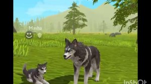 Мини фильм Wildcraft "Дух" 4 серия