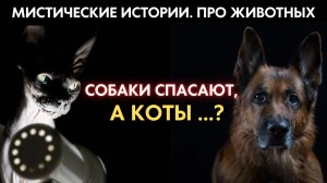 После этого выпуска, вы иначе посмотрите на своих питомцев | Живой голос. Выпуск '9