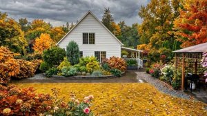 Из лета в зиму проект